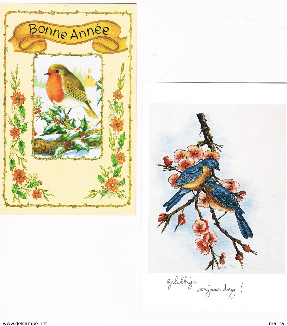 2 Cartes Oiseau - Birds- Vogels - Vogels