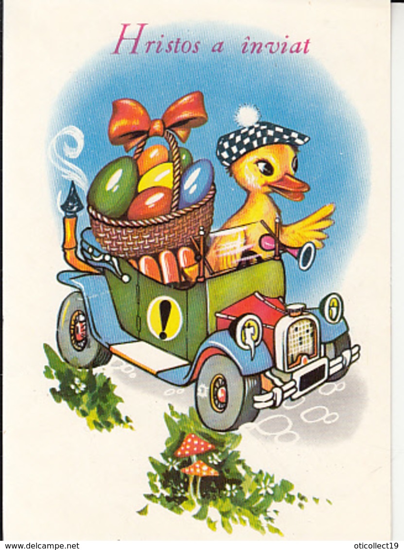 MUSHROOMS, DUCKLING IN A CAR, PAINTED EGGS POST CARD STATIONERY ROMANIA - Pilze