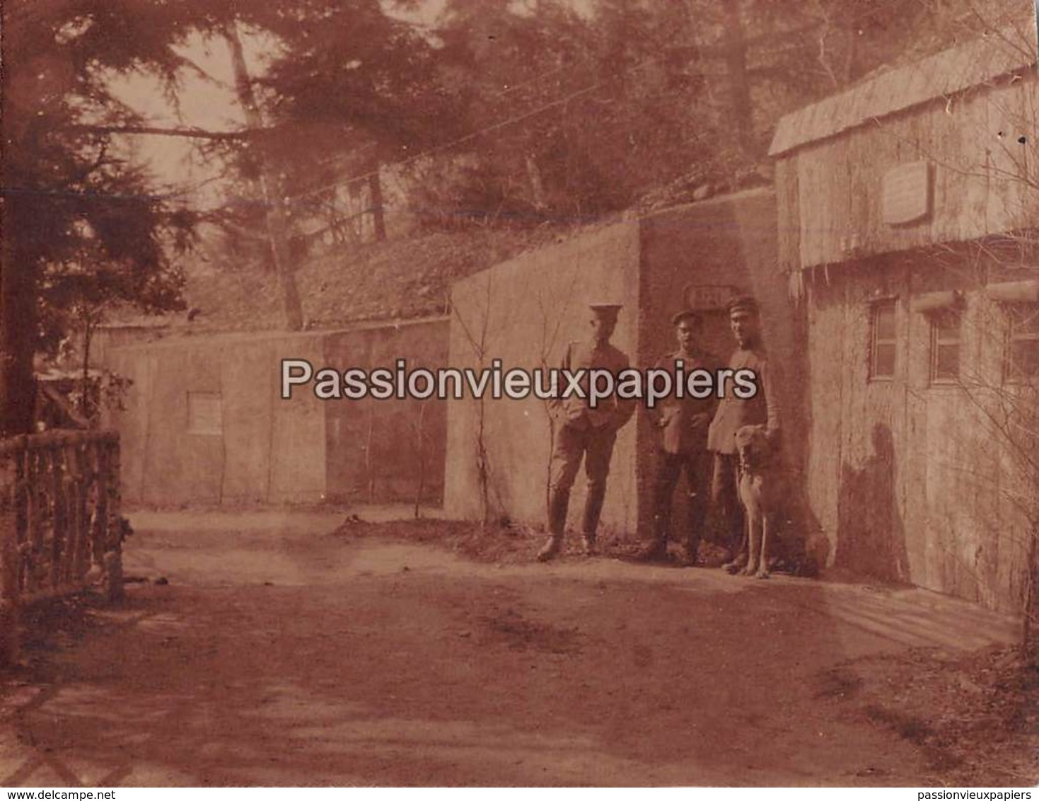 Petite PHOTO 1914/1918  Environs Du HARTMANNSWILLERKOPF ? SUNGAU - 13 ABRIS - Autres & Non Classés