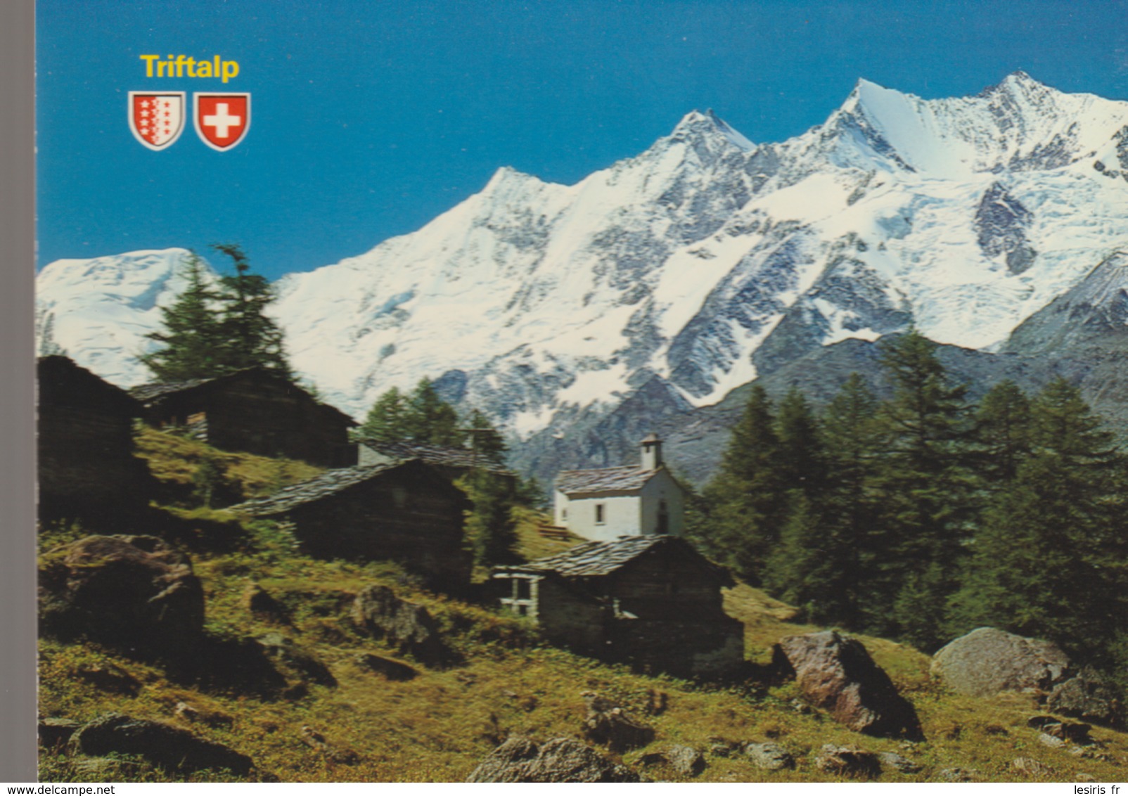 C. P. - PHOTO - TRIFTALP IM SAAS TAL - ALPHUBEL - TASCHHORN - DOM - LENZSPITZE - NADELHOM - KOMM MIT INS WALLIS - 47543 - Täsch