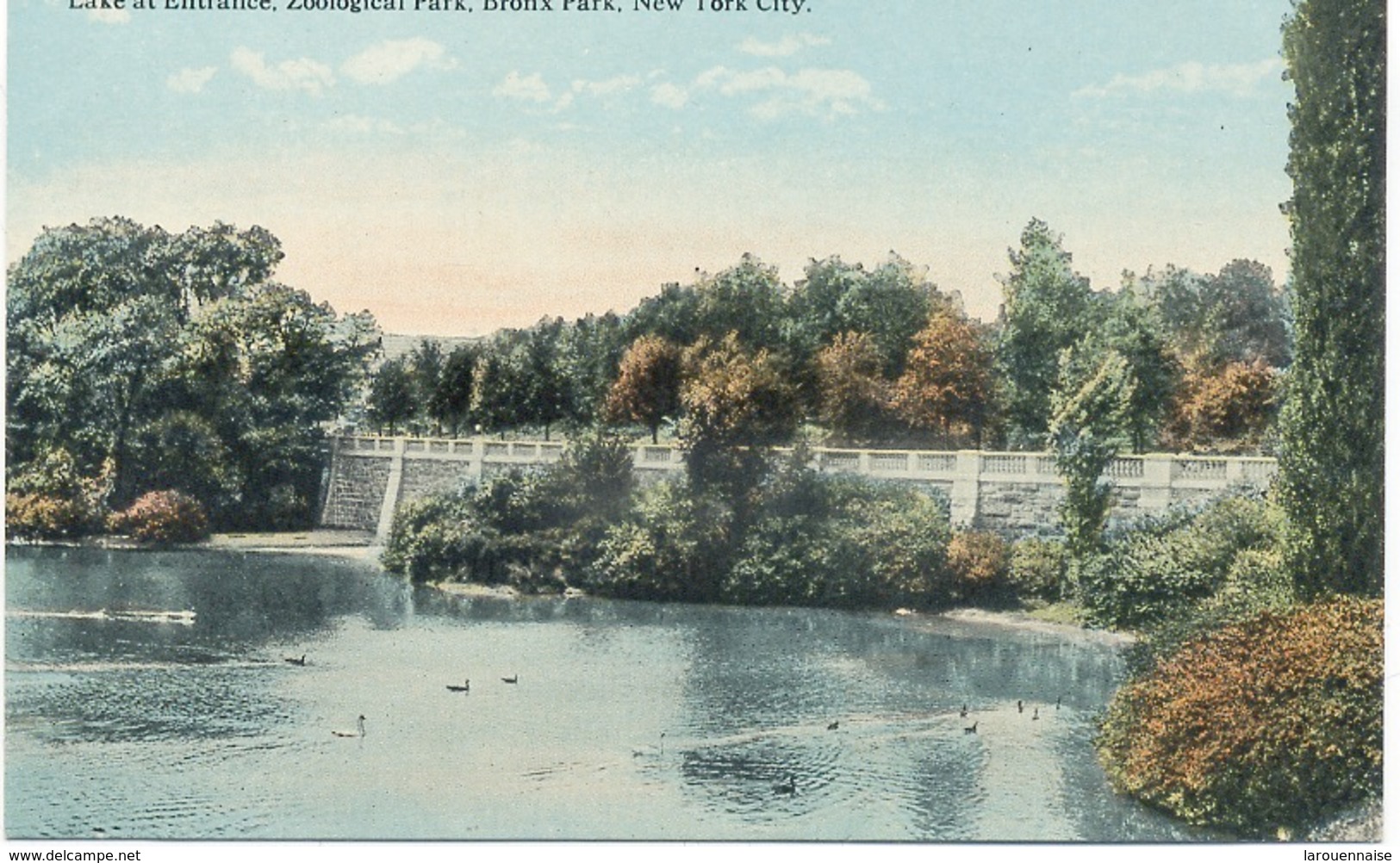 New-york City: Lake At Entrance , Zoological Park, Bronx Park. - Parchi & Giardini