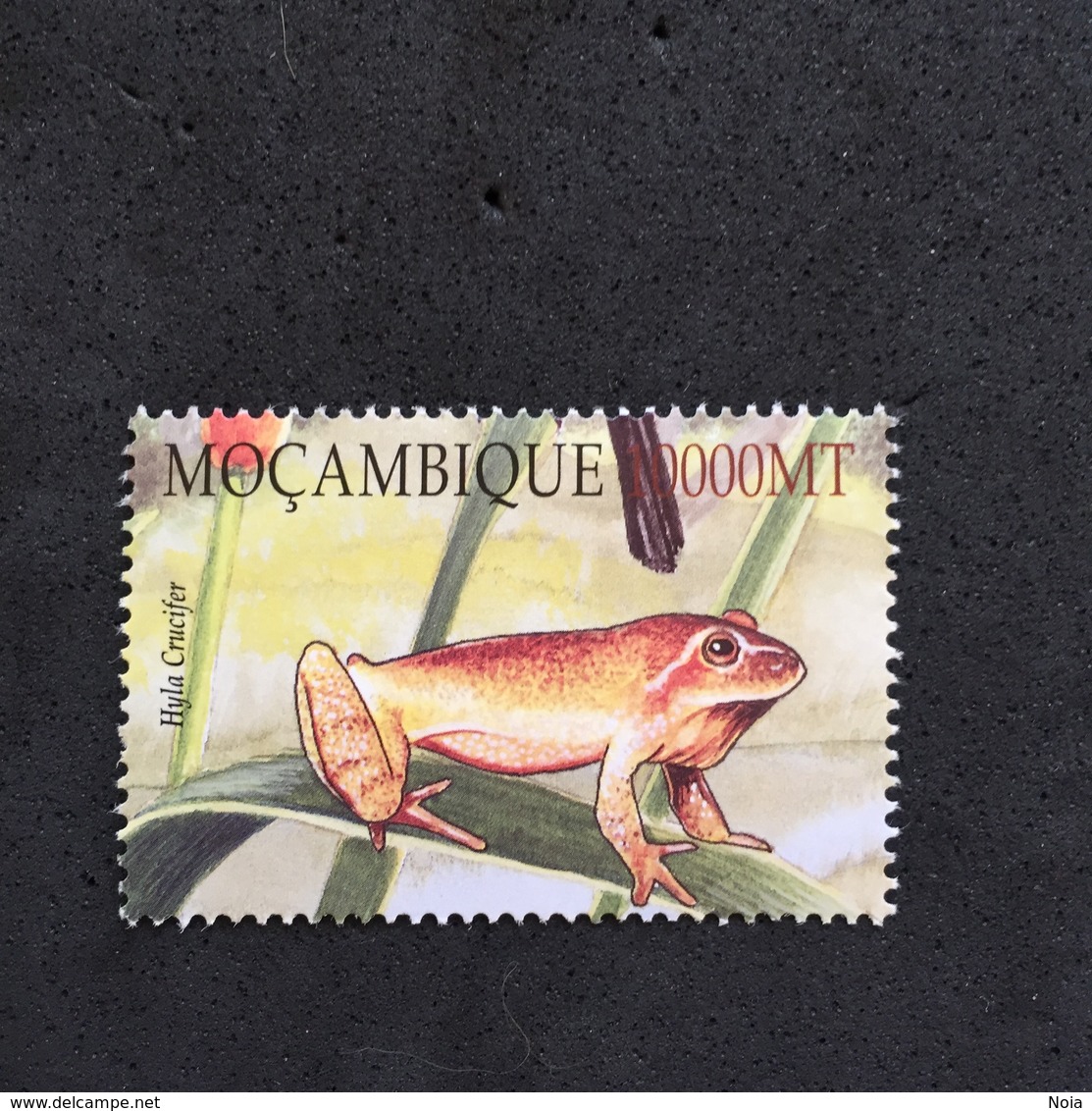 MOZAMBIQUE. MNH. 5R1907A - Frogs