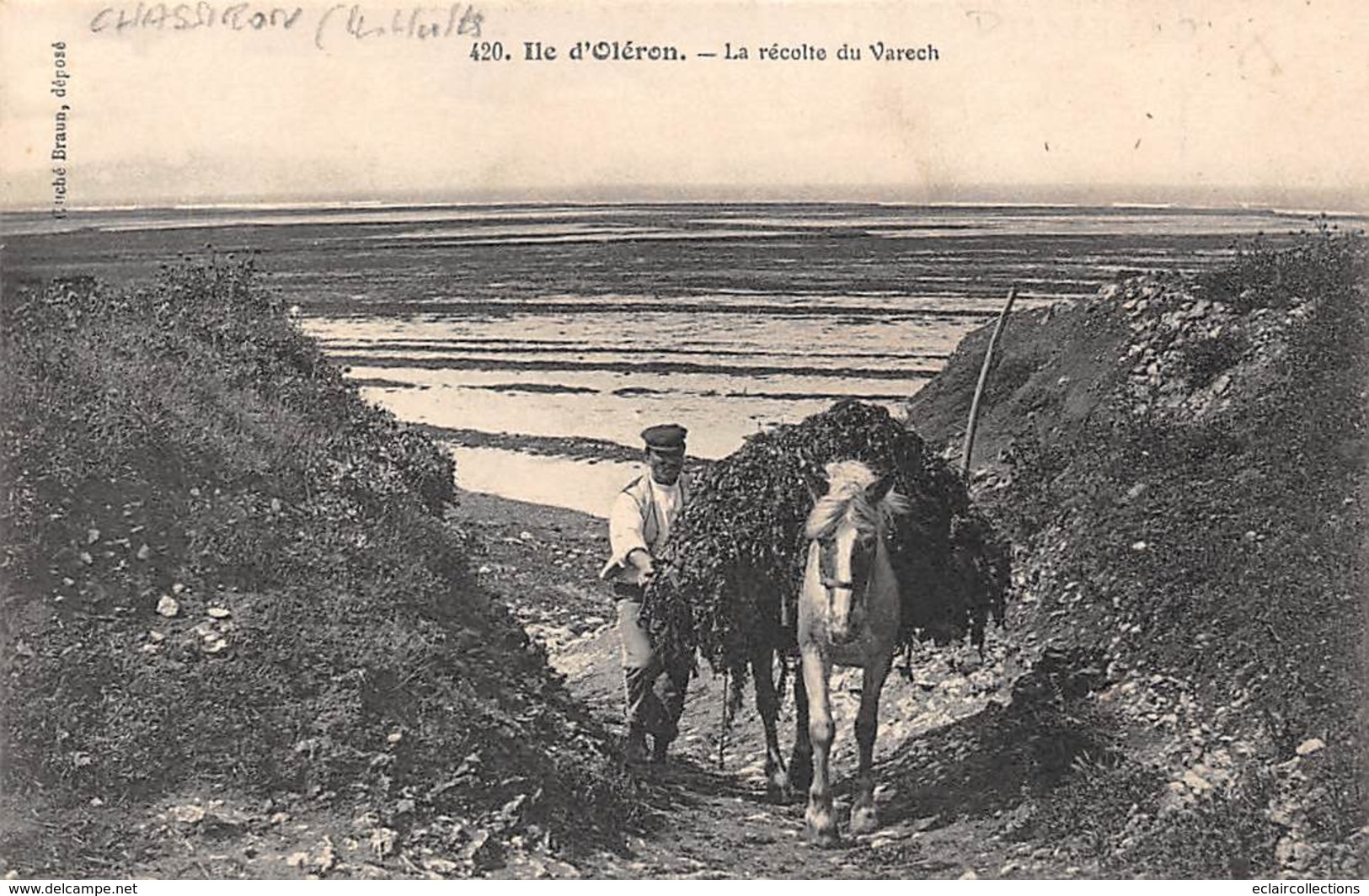 Ile D'Oléron.    17   St Denis D'Oléron Chassiron   17     Les Huttes .Homme Récoltant Le Varech    (voir Scan) - Ile D'Oléron