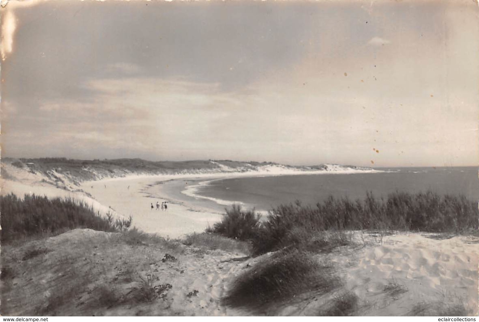 Ile D'Oléron.  Domino       17       La Grande Plage    2    (voir Scan) - Ile D'Oléron