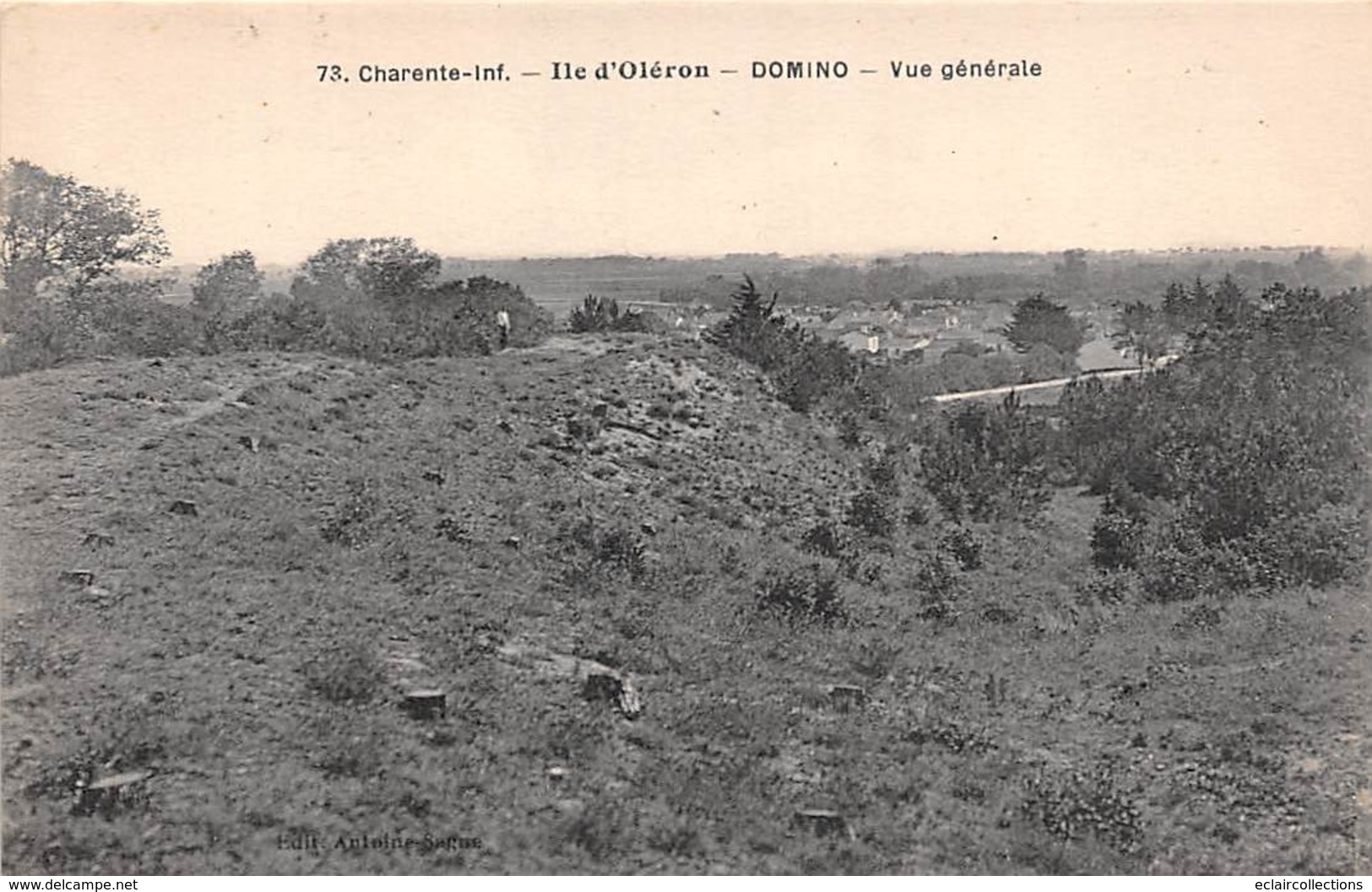 Ile D'Oléron.  Domino       17       Vue Générale    2       (voir Scan) - Ile D'Oléron