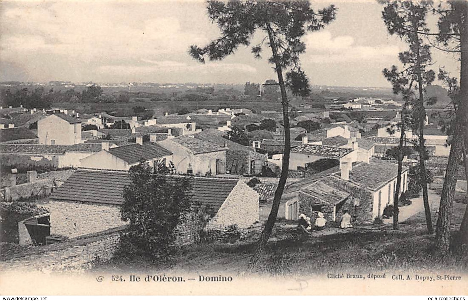 Ile D'Oléron.  Domino       17       Vue Générale   3       (voir Scan) - Ile D'Oléron