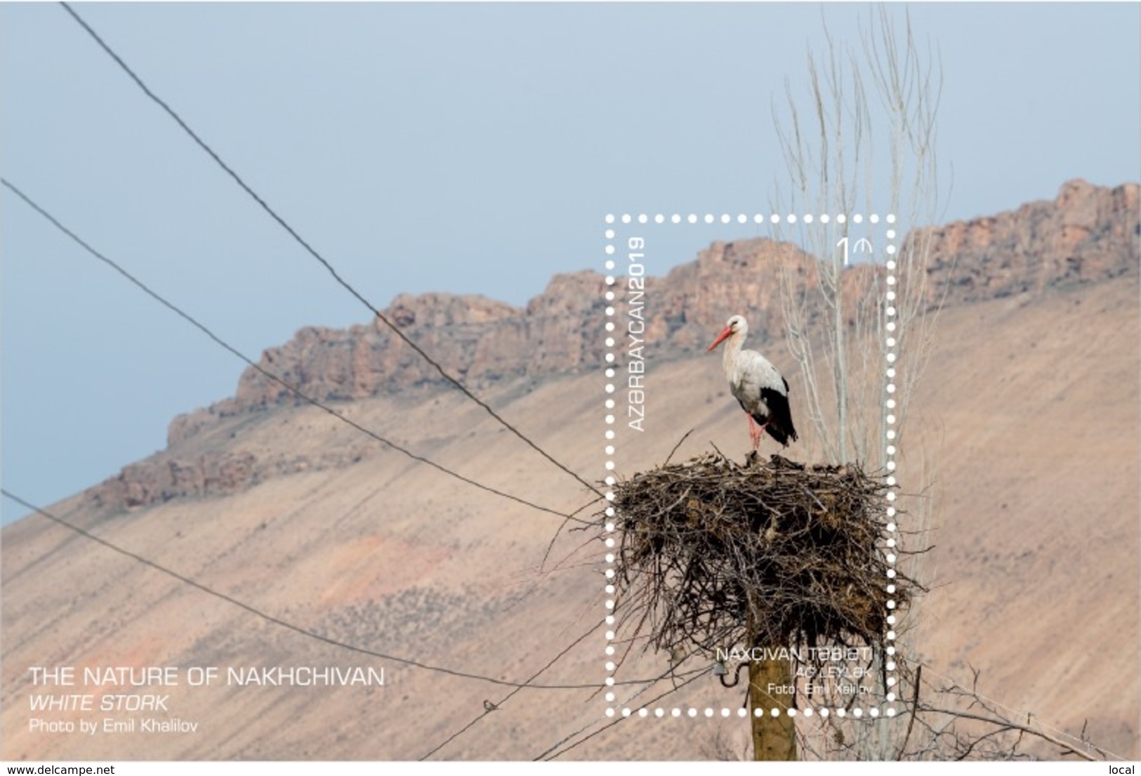 Azerbaijan Stamps 2019 The Nature Of Nakhchivan. White Stork Birds - Storks & Long-legged Wading Birds