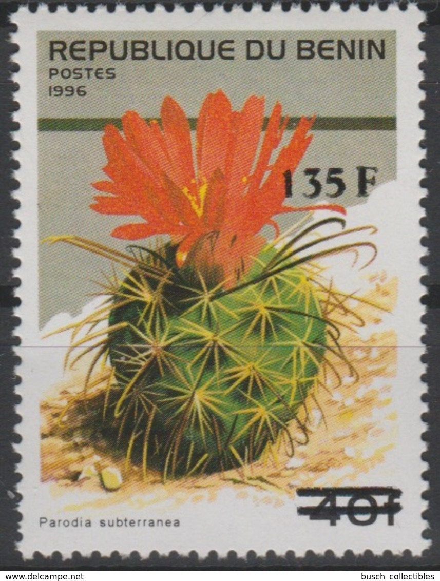 Bénin 2000 Mi. 1245 Flora Flore Parodia Subterranea Cactus Plante Pflanze Plant Surchargé Overprint MNH** - Cactusses