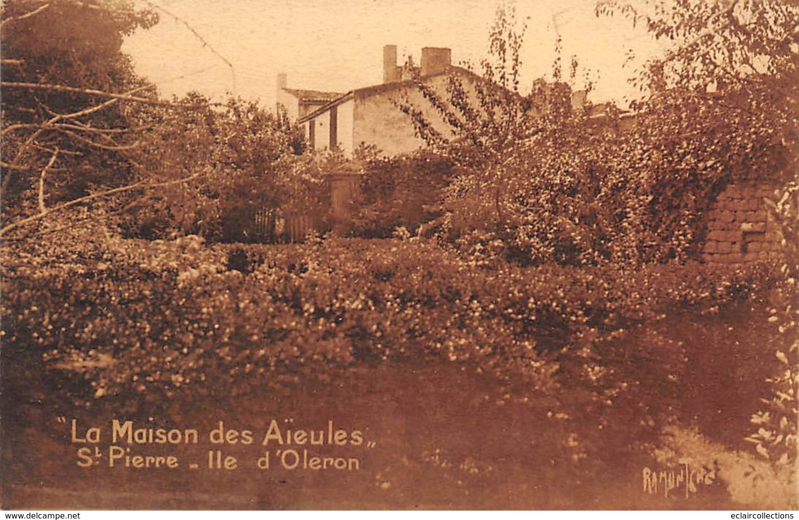 Ile D'Oléron.    St Pierre  D'Oléron    17     La Maison Des Aïeules      (voir Scan) - Ile D'Oléron