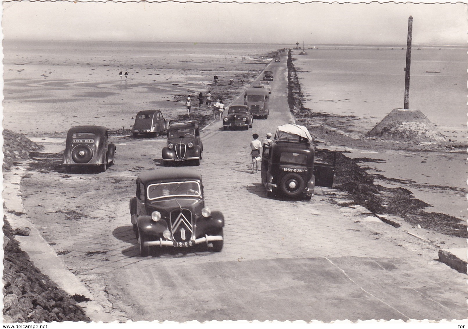 Vendée : BARBATRE : -le Passage Du Gois - Automobile - Traction - Citroen ( Photo Véritable - C.p.s.m. M. - Grand Format - Ile De Noirmoutier