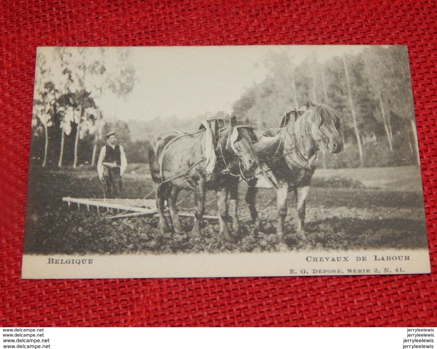 AGRICULTURE - BELGIQUE - Chevaux De Labour - Attelage - Wagengespanne