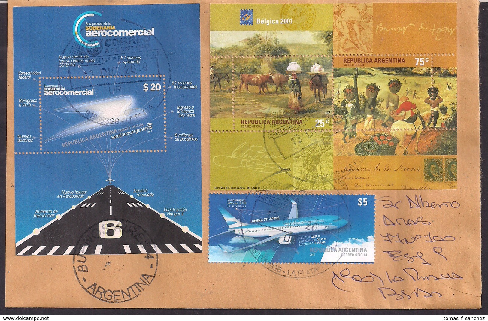 Argentina - 2019 - Aviation Commerciale - Timbre Diverse - Briefe U. Dokumente