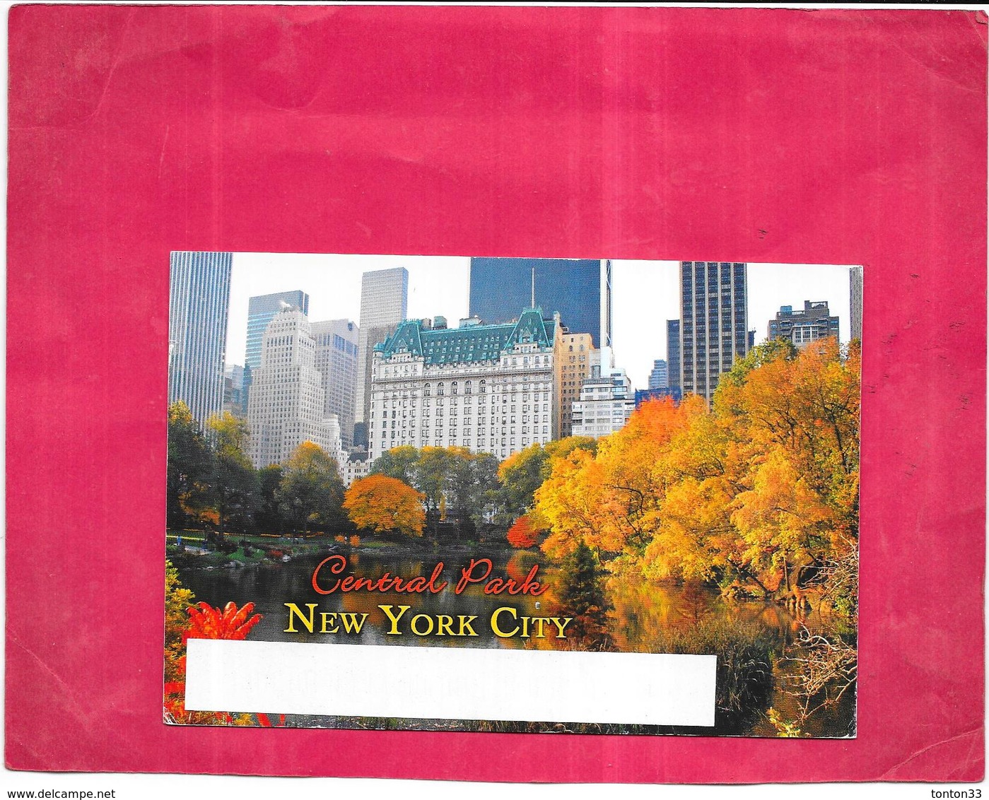 ETATS UNIS - NEW YORK CITY  - Central Park  - DELC8 - - Parks & Gärten