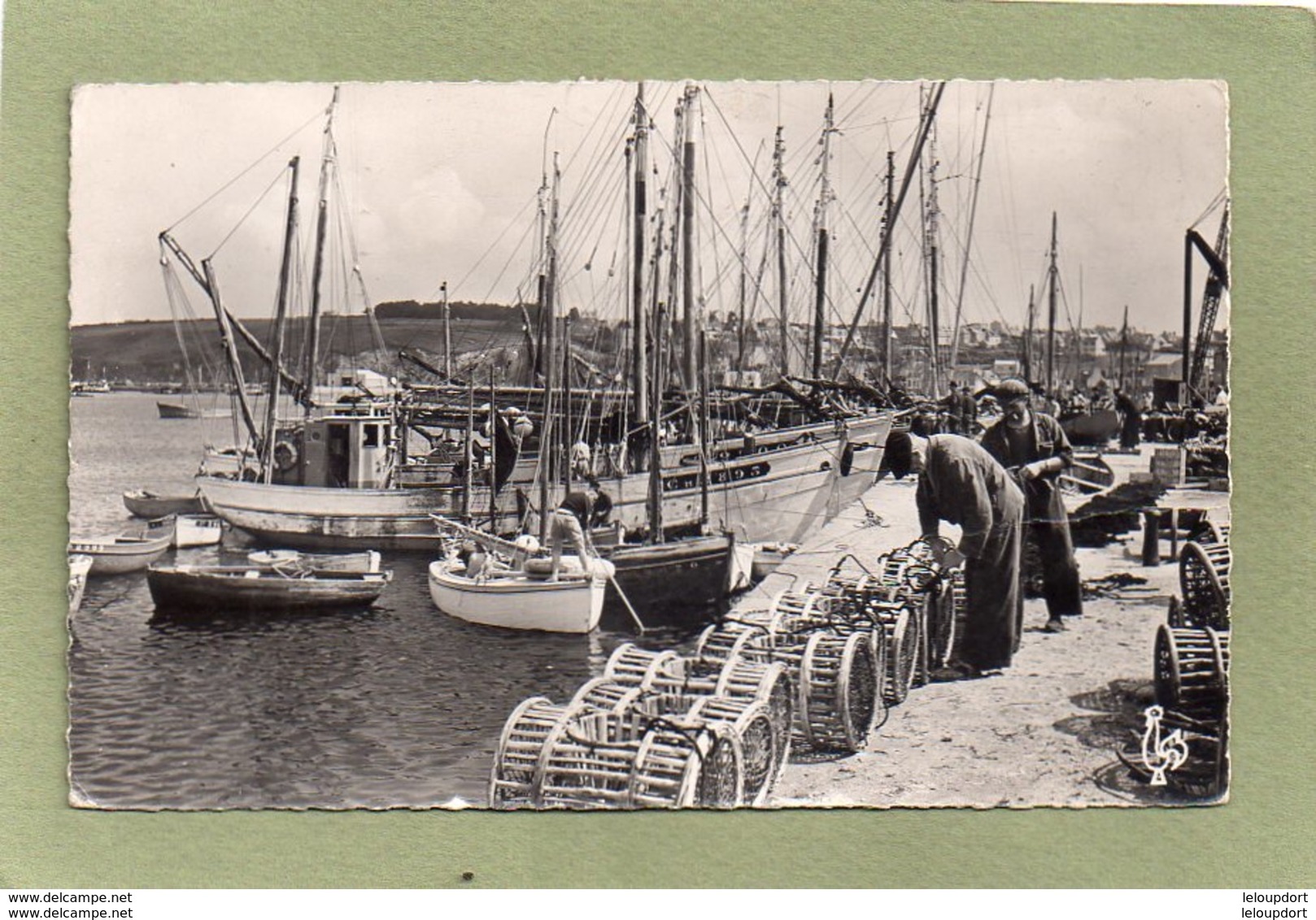 CAMARET   ARRIVEE DES LANGOUSTIERS - Camaret-sur-Mer