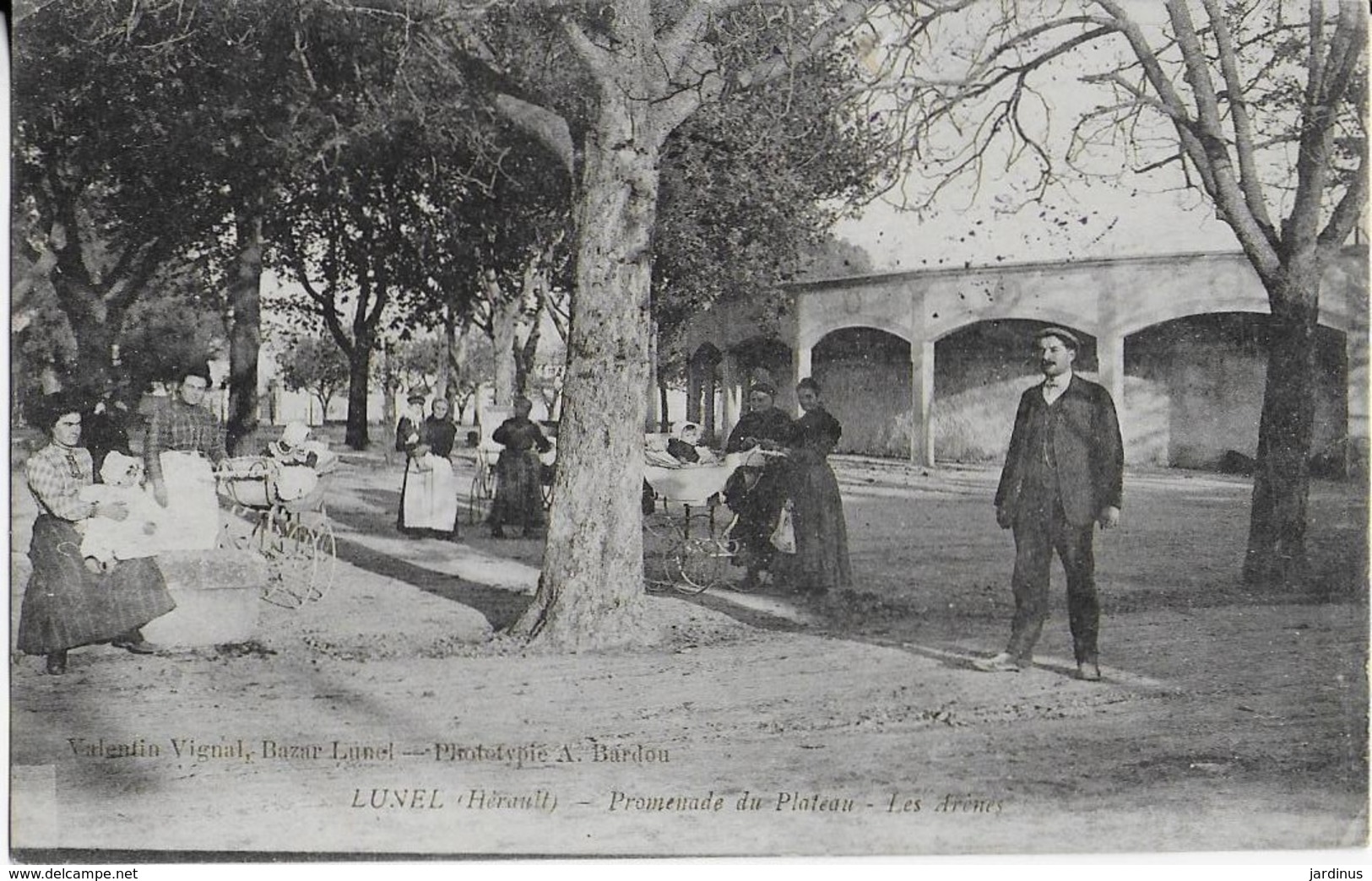 LUNEL ( Hérault)  Promenade Du Plateau Animée  - Les Arènes ( 1919 ) - Lunel