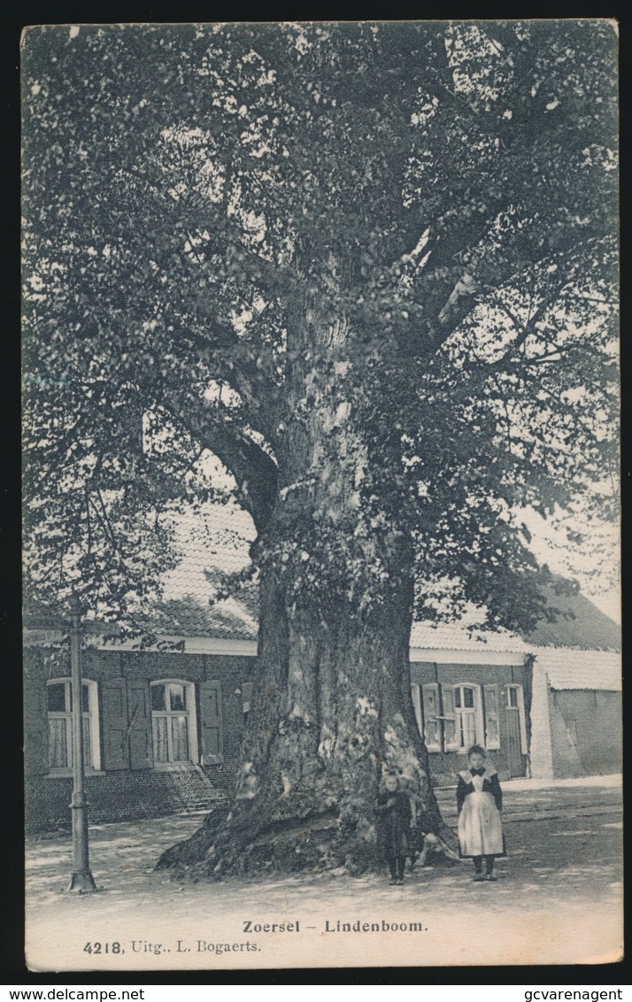 ZOERSEL  LINDENBOOM - Zoersel