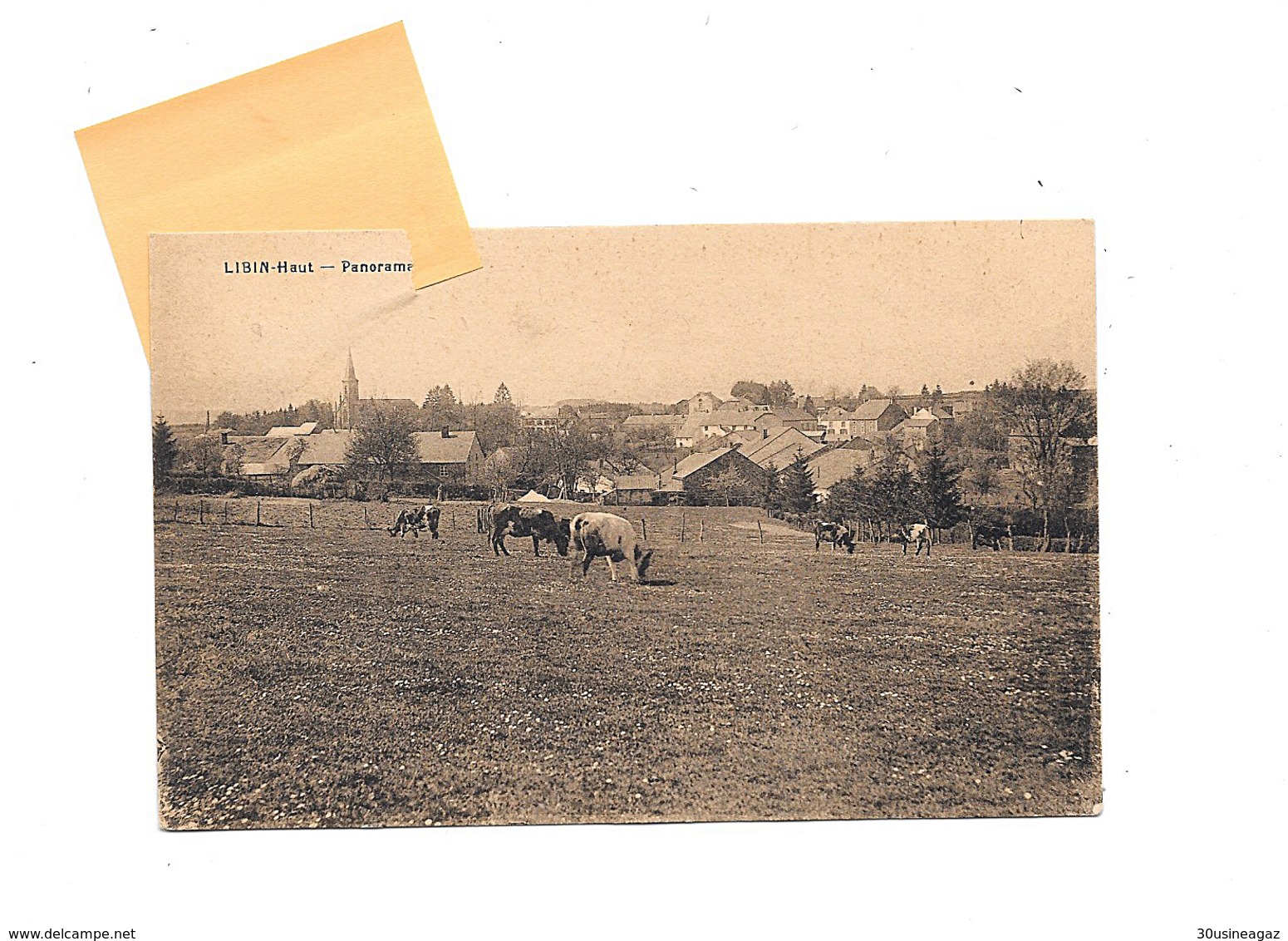 CPA    Luxembourg Libin Panorama 2 Scan Attention Déchirure Et Premier Feuillet Décoller 2 Scan - Libin