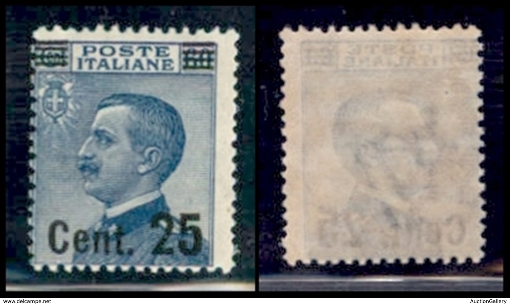 Regno - 1925 - 25 Cent Su 60 (179) - Gomma Integra (100) - Sonstige & Ohne Zuordnung