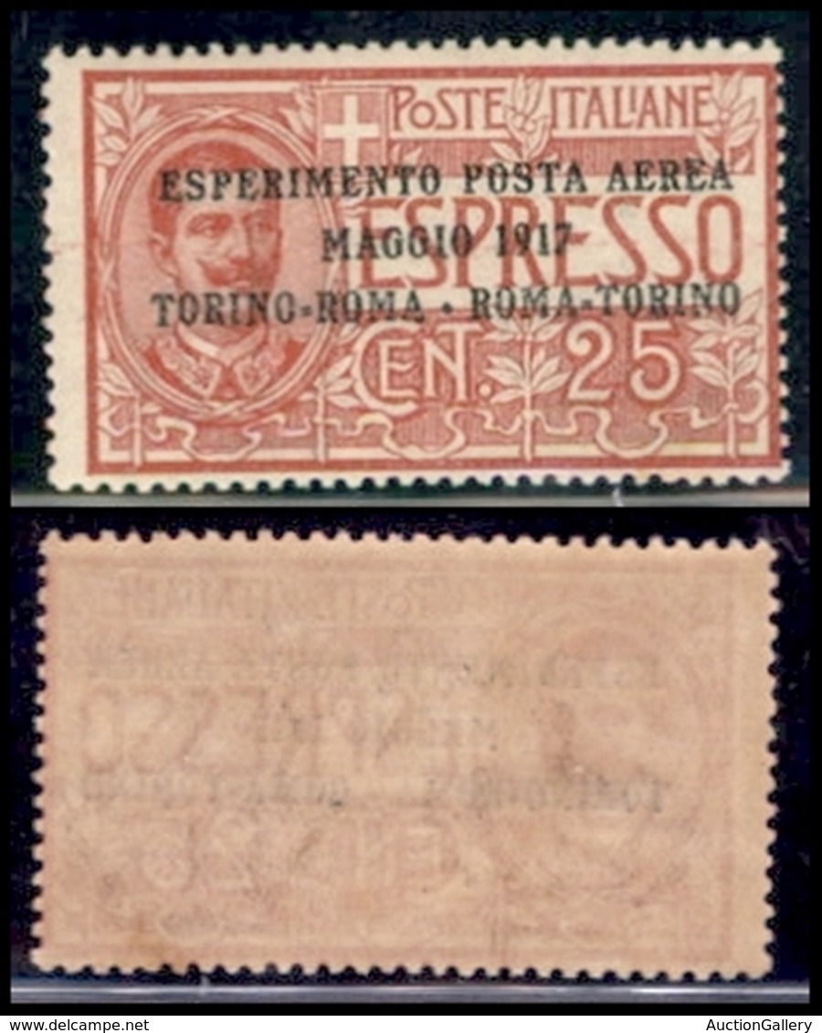Regno - Posta Aerea - 1917 - 25 Cent Torino-Roma (1 - Aerea) - Gomma Integra (75) - Sonstige & Ohne Zuordnung