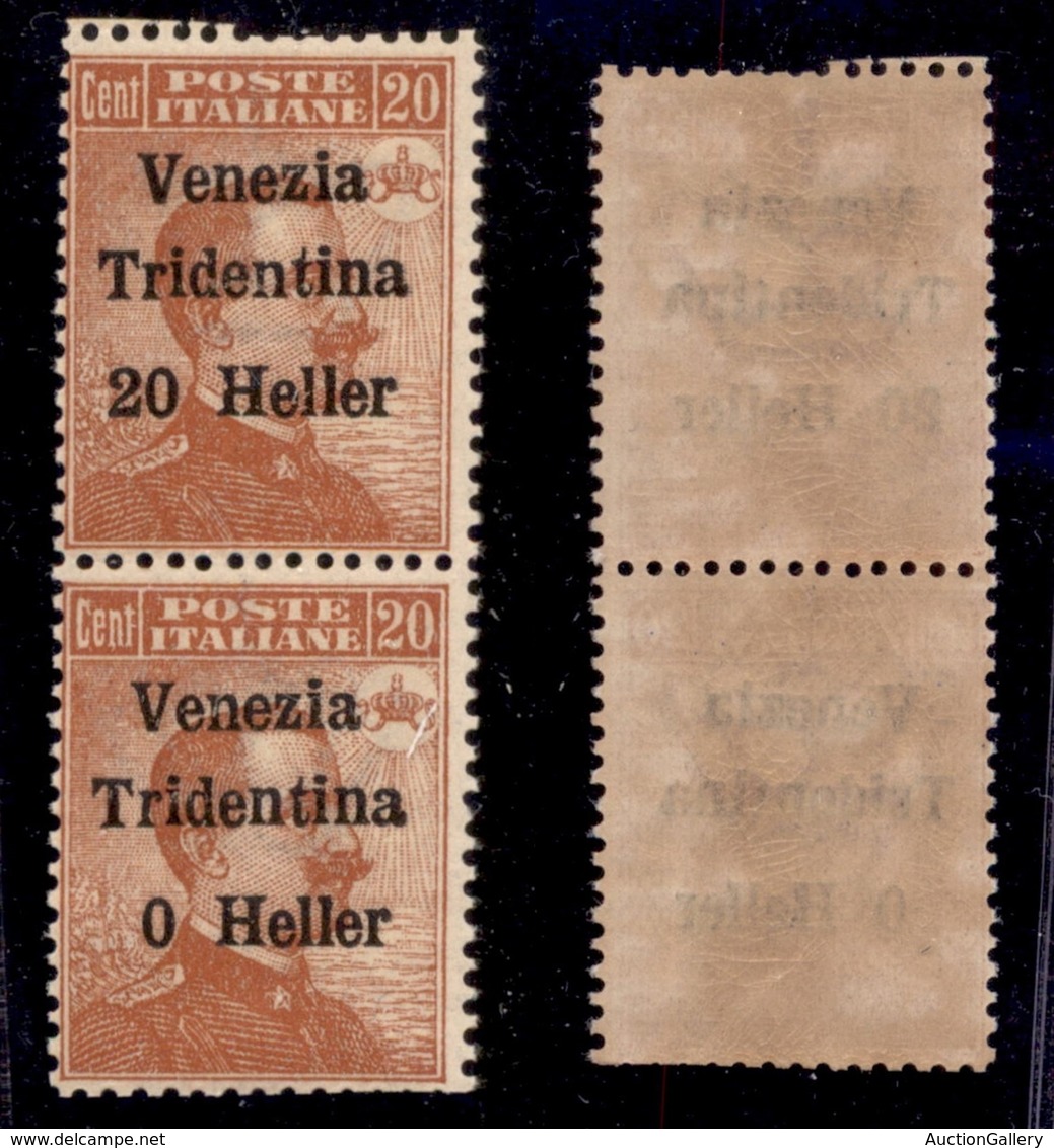 Trentino-Alto Adige - 1918 - 20 Heller Su 20 Cent (30 + 30c) - Coppia Verticale Senza 2 In Basso - Gomma Integra - Dente - Sonstige & Ohne Zuordnung