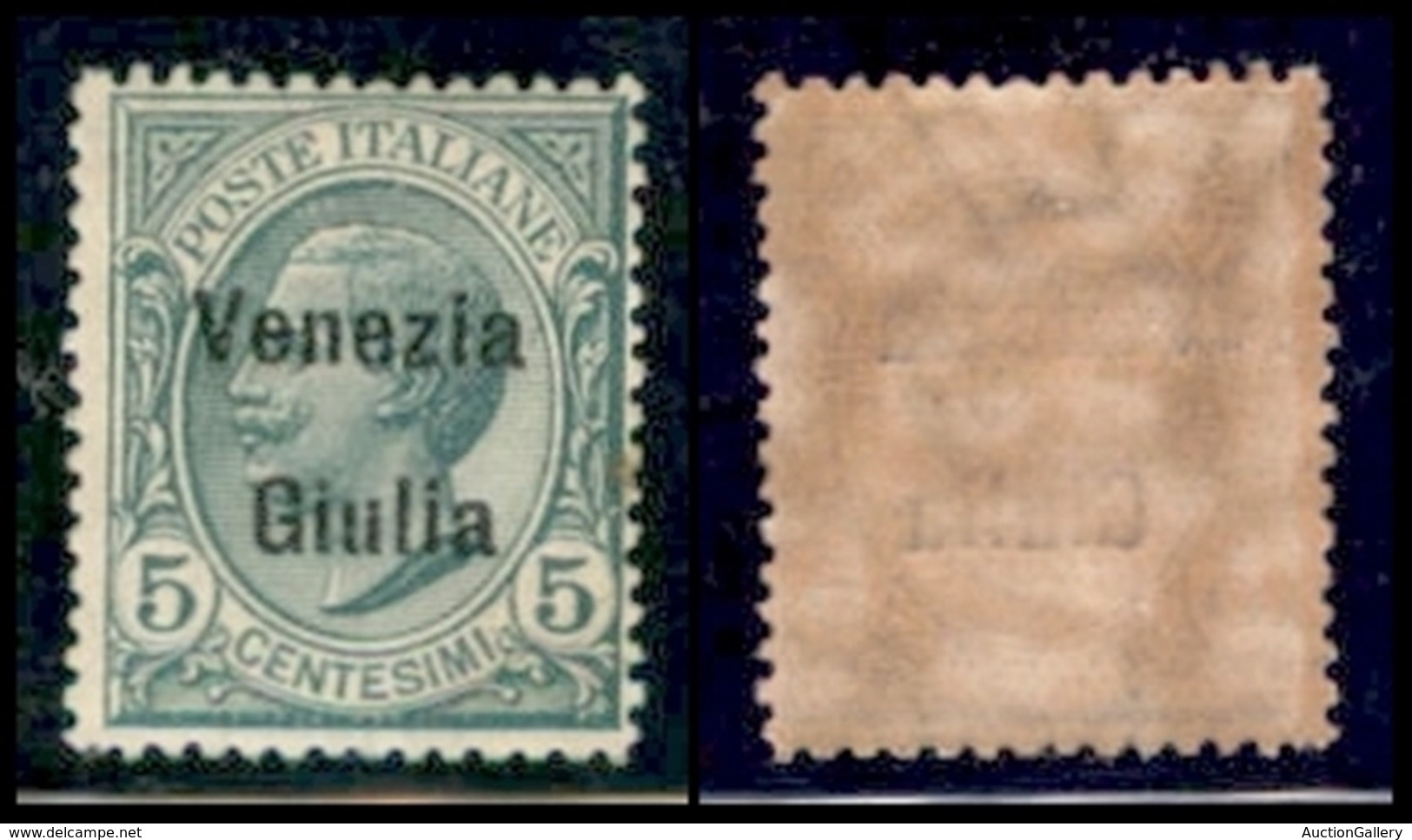 Venezia Giulia - 1918 - 5 Cent Leoni (21) - Gomma Integra (50) - Sonstige & Ohne Zuordnung