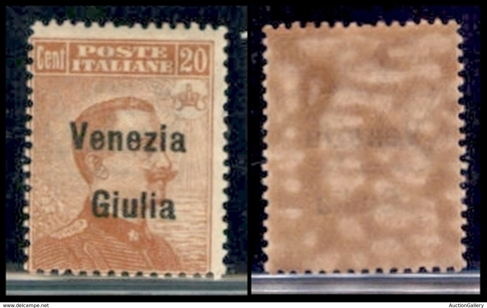 Venezia Giulia - 1918 - 20 Cent Michetti (23) - Gomma Integra (50) - Sonstige & Ohne Zuordnung