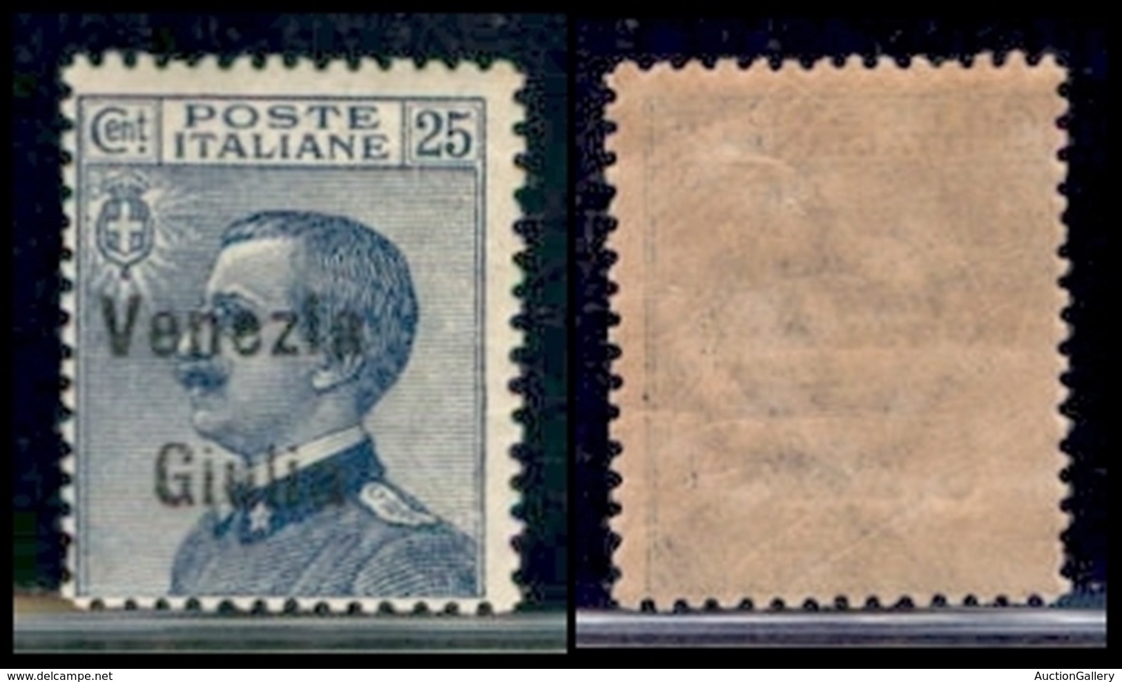 Venezia Giulia - 1918 - 25 Cent Michetti (24) - Gomma Integra (50) - Sonstige & Ohne Zuordnung