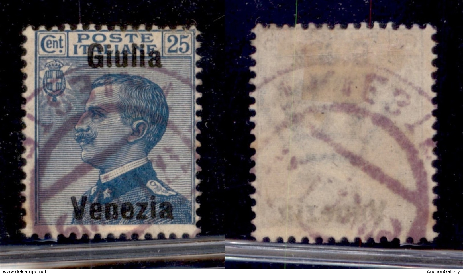 Venezia Giulia - 1918 - 25 Cent (24d) Usato - Giulia Venezia - Sonstige & Ohne Zuordnung