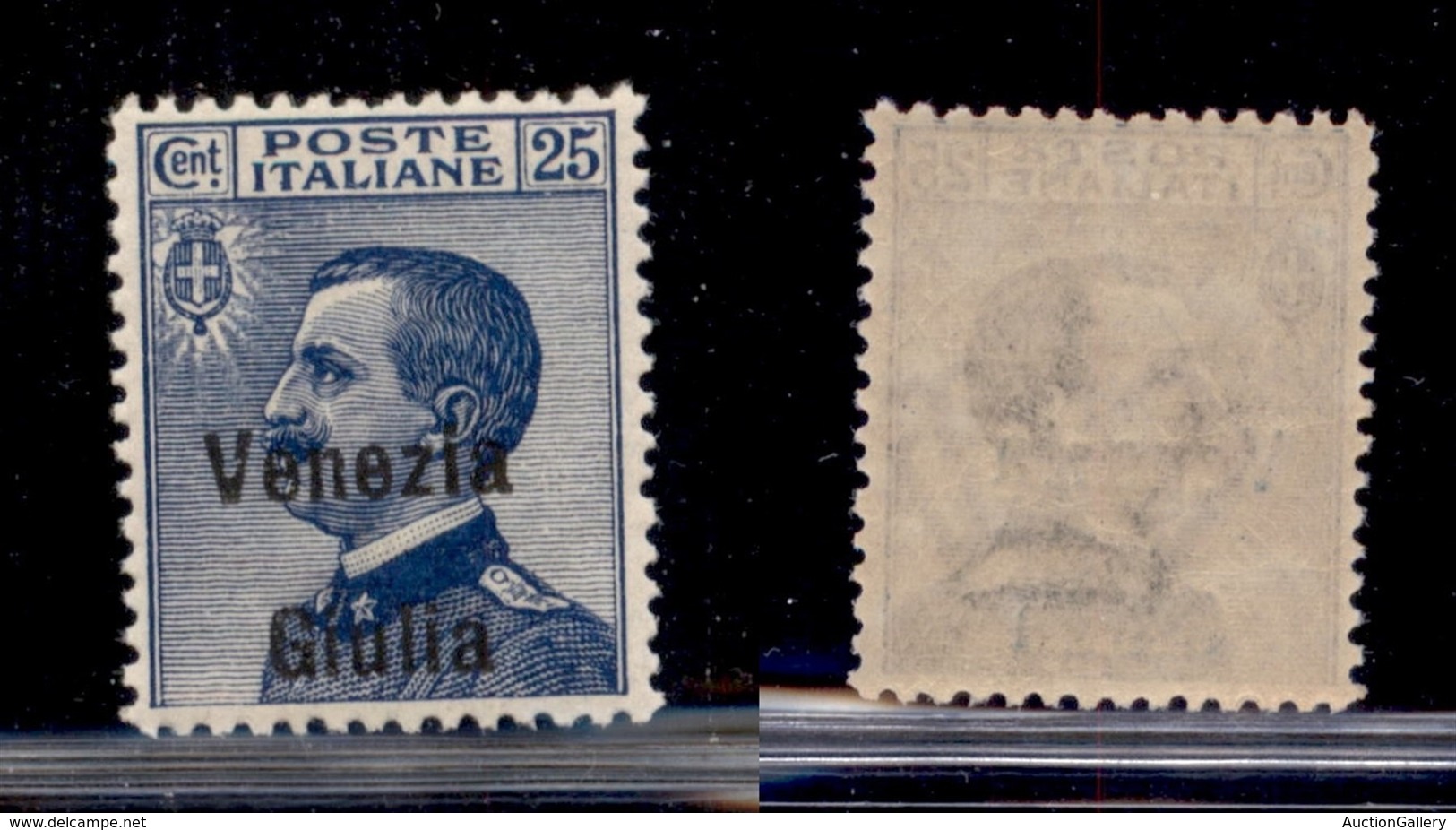 Venezia Giulia - 1918 - 25 Cent Michetti (24 Ea) - Soprastampa In Basso - Gomma Integra (120) - Sonstige & Ohne Zuordnung