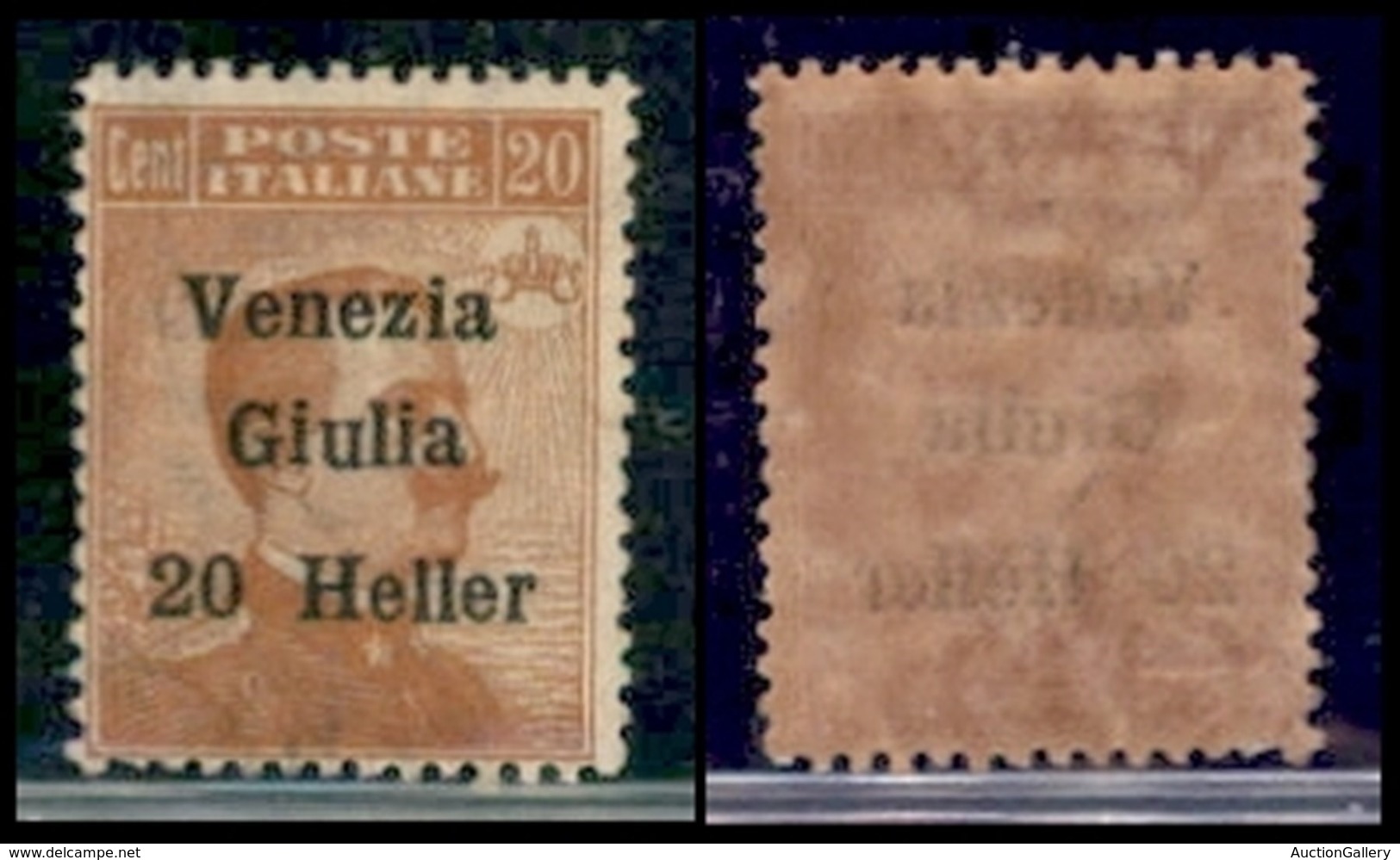 Venezia Giulia - 1919 - 20 Heller Su 20 Cent (31) - Gomma Integra - Sonstige & Ohne Zuordnung
