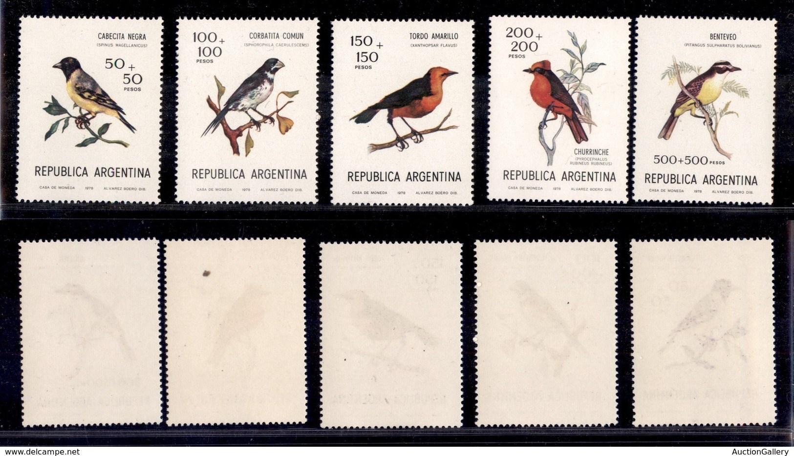 ARGENTINA - 1978 - Uccelli (1347/1351) - Serie Completa - Gomma Integra - Sonstige & Ohne Zuordnung