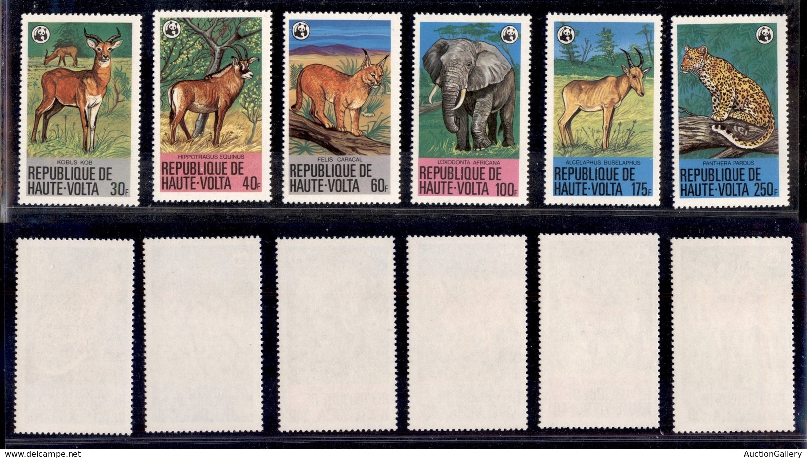 BURKINA FASO - 1979 - Animali (760/765) - Serie Completa - Gomma Integra - Sonstige & Ohne Zuordnung