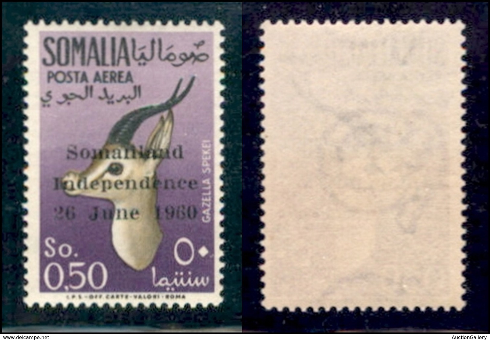 SOMALIA - 1960 - 0 .50 Somalo Soprastampato (2) - Gomma Integra (50) - Sonstige & Ohne Zuordnung