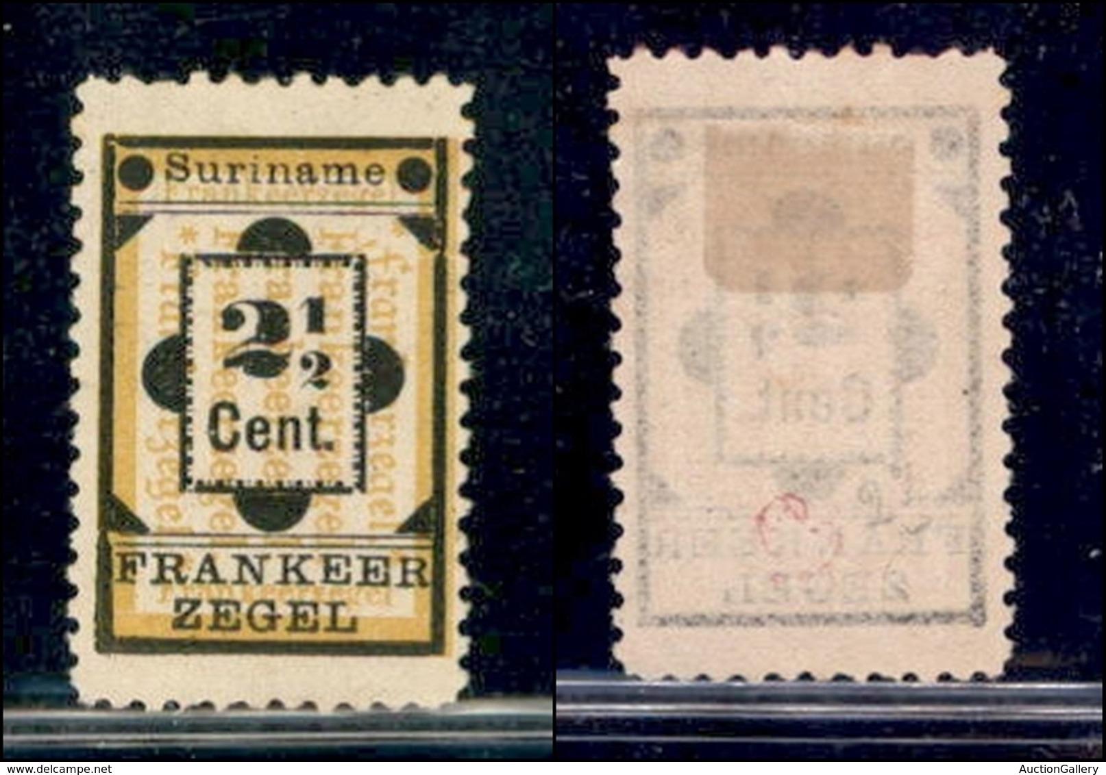 SURINAME - 1892 - 2 1/2 Cent (28 -tipo I) - Gomma Originale - Sonstige & Ohne Zuordnung