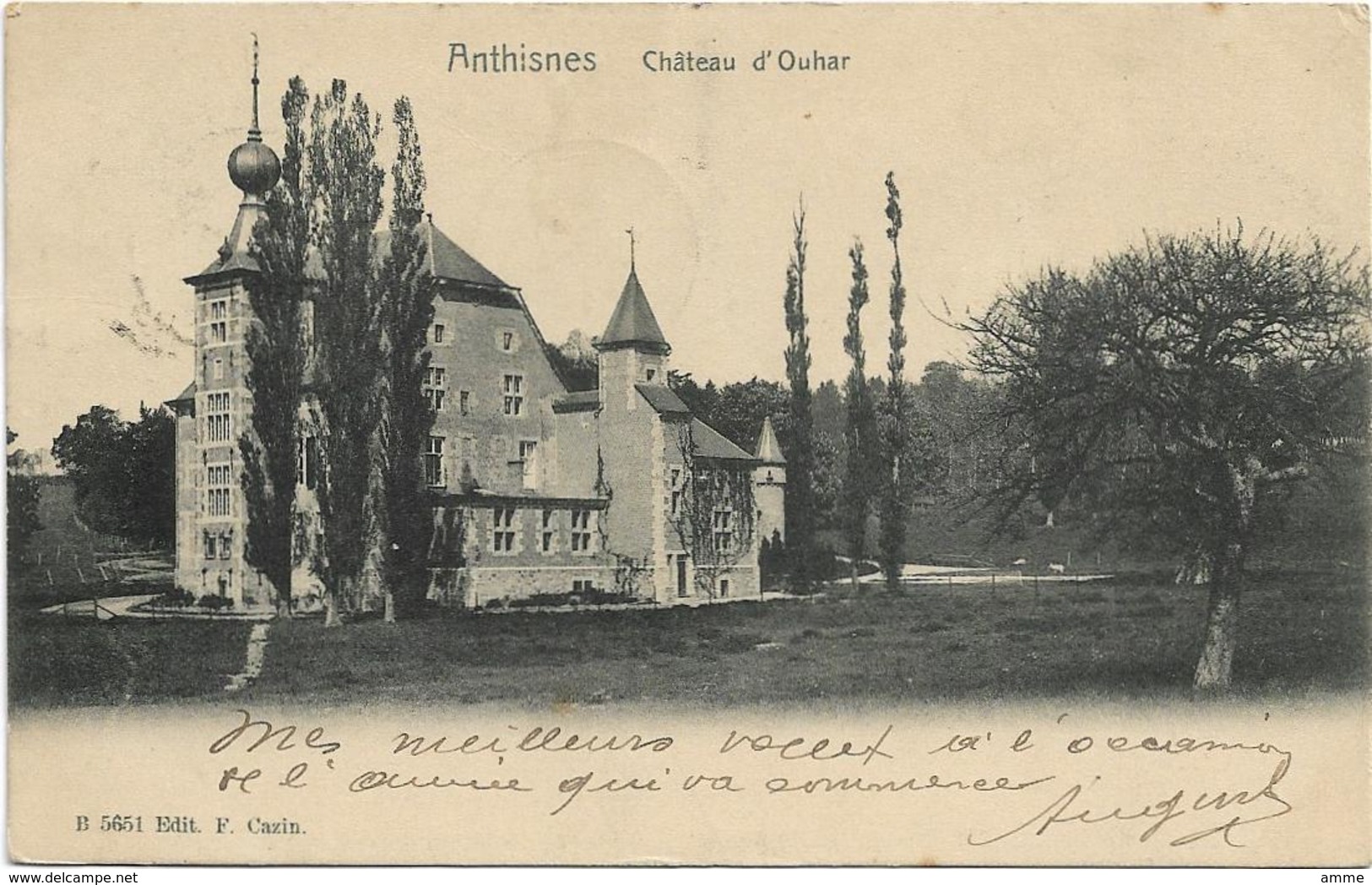 Anthisnes  *  Chateau D'Ouhar - Anthisnes