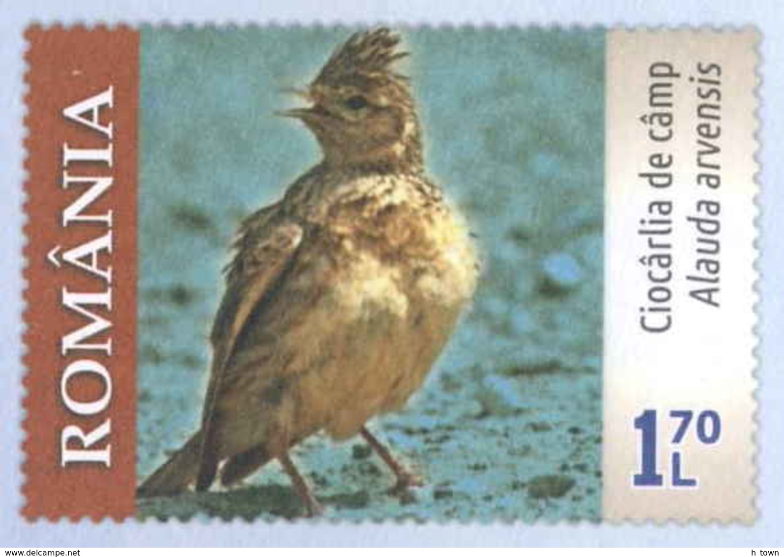 930  Alouette Des Champs: PAP 2019 - Eurasian Skylark On Imprinted Stamp. + Golden Eagle Aigle Royal - Pájaros Cantores (Passeri)