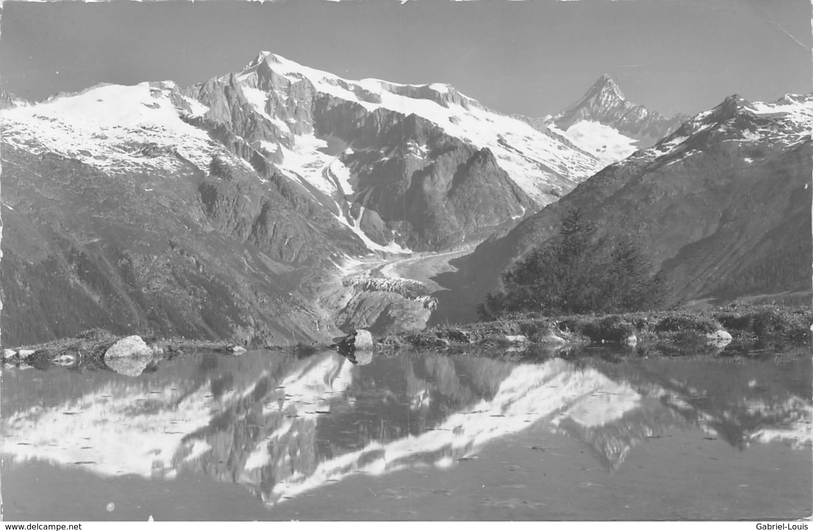 Auf Dem Fritt Am Eggerhorn Ob Ernen U. Fiesch - Wannehorn Finsteraahorn - Ernen