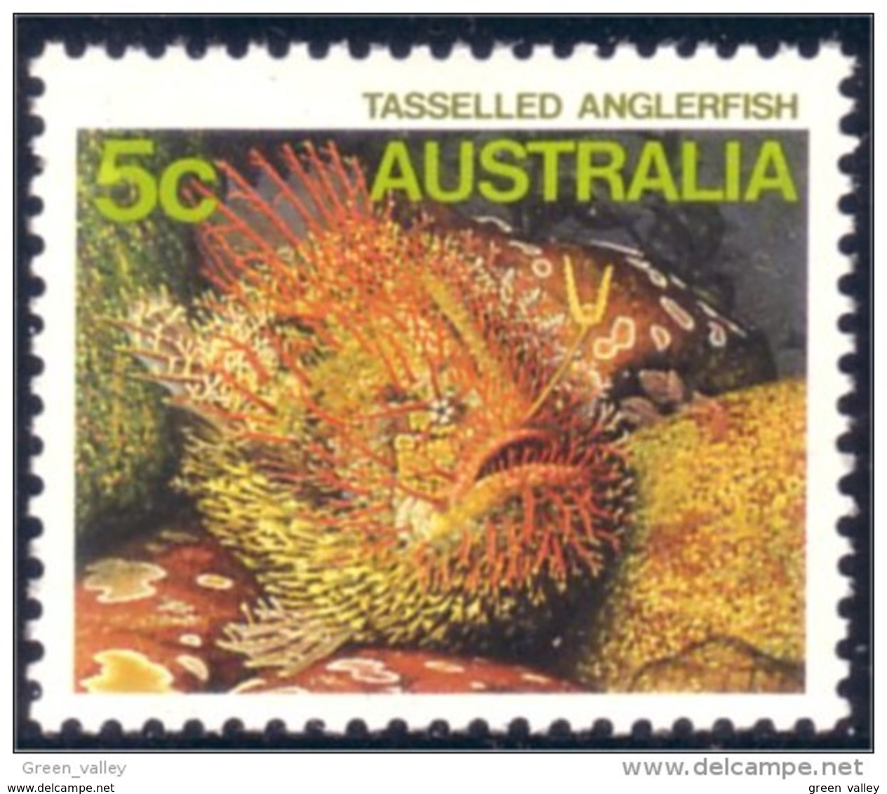 151 Australia Anglerfish MNH ** Neuf SC (AUS-271) - Fishes