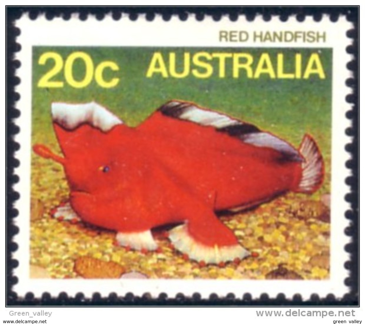 151 Australia Red Handfish MNH ** Neuf SC (AUS-272) - Fishes