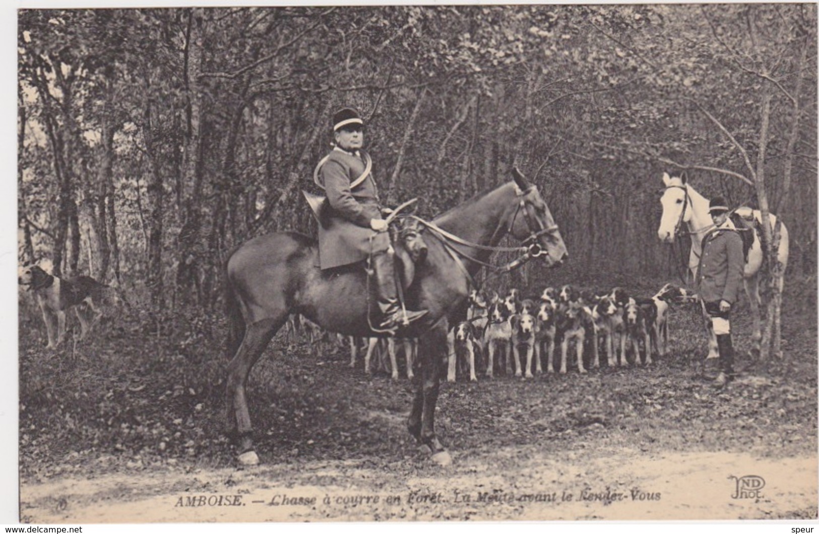 Amboise - Chasse à Courre En Forêt. La Meute Avant Le Rendez-Vous. Hunting Scene, ± 1910 - Chasse
