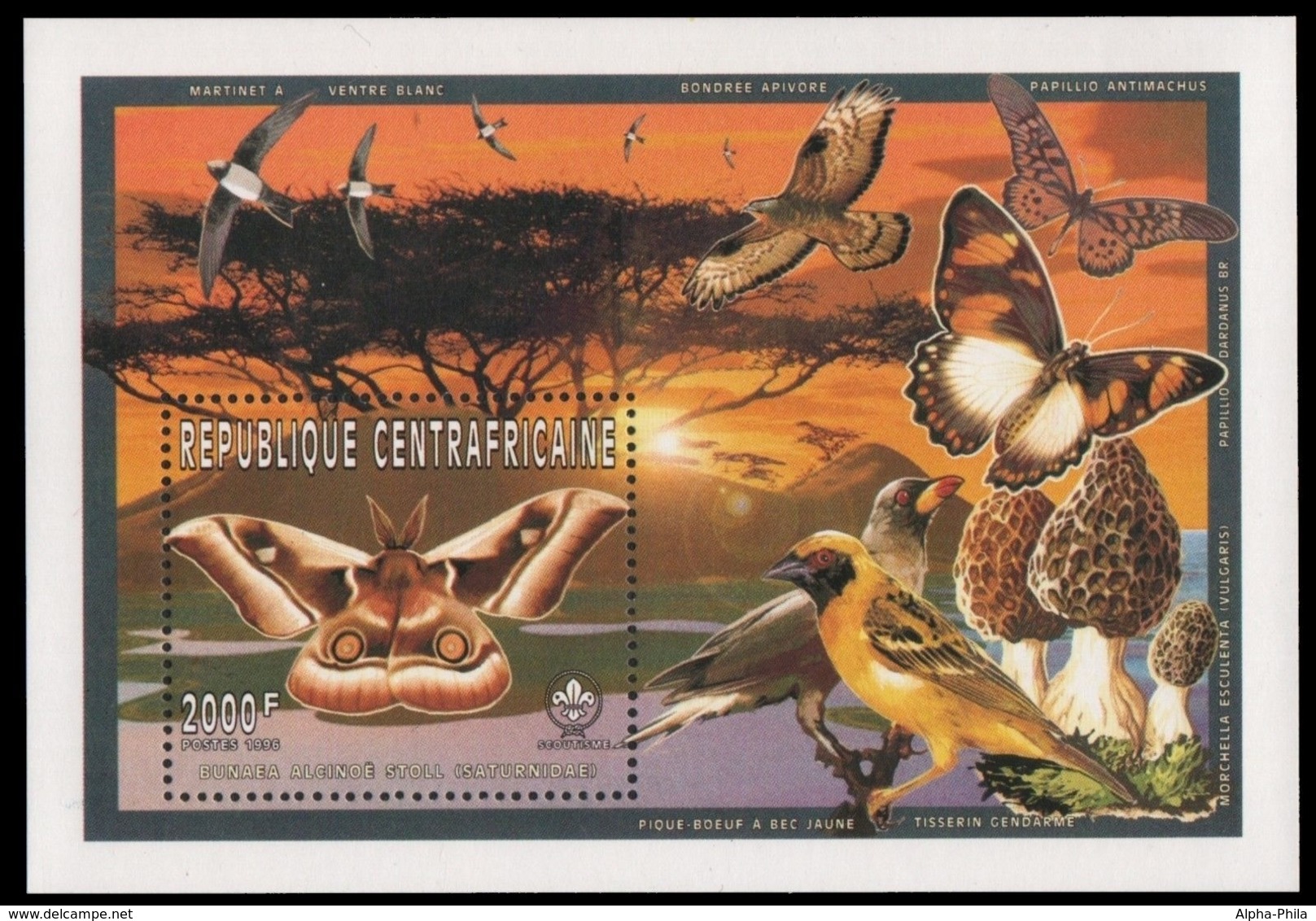 Zentralafrikanische Rep. 1997 - Mi-Nr. Block 588 A ** - MNH - Vögel / Birds - República Centroafricana