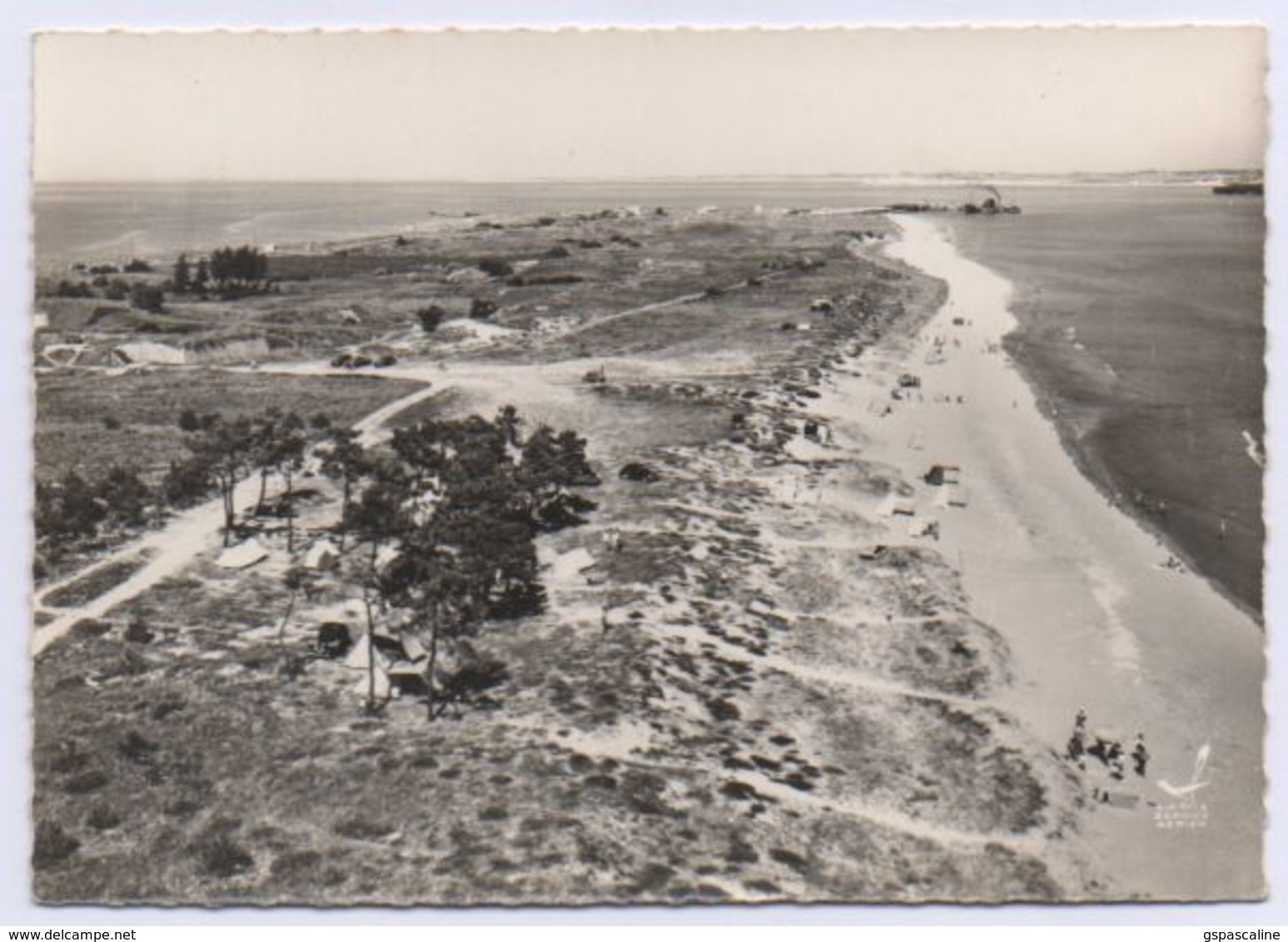 17 RIVEDOUX - 1 - Edts Lapie - La Côte Sauvage - La Plage. Camping. - Ile De Ré