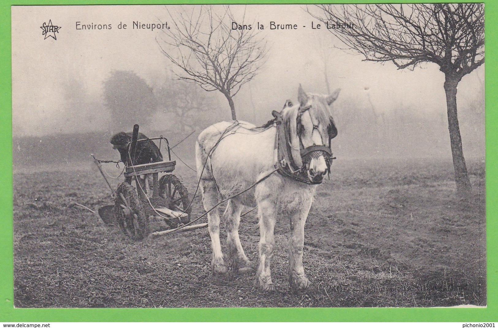 ENVIRON DE NIEUPORT   -   Dans La Brume, Le Labour - Nieuwpoort