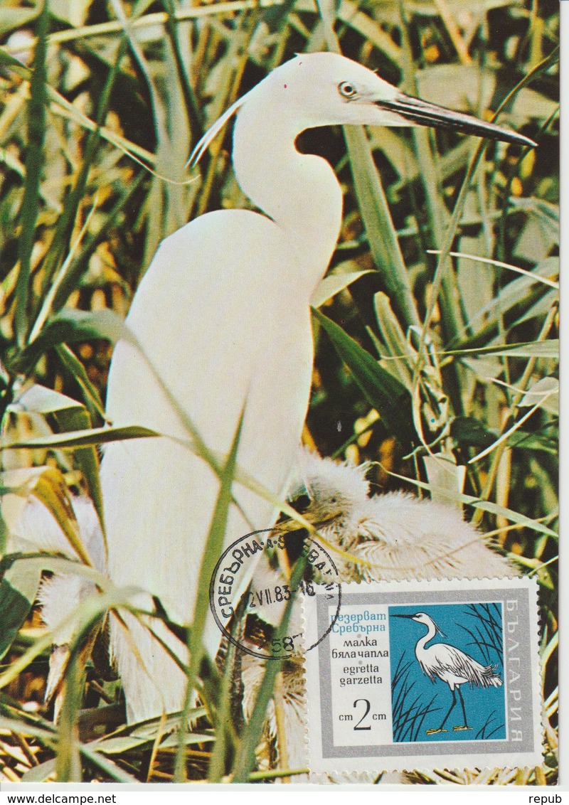 Bulgarie Carte Maximum Oiseaux 1968 Aigrette 1628 - Brieven En Documenten