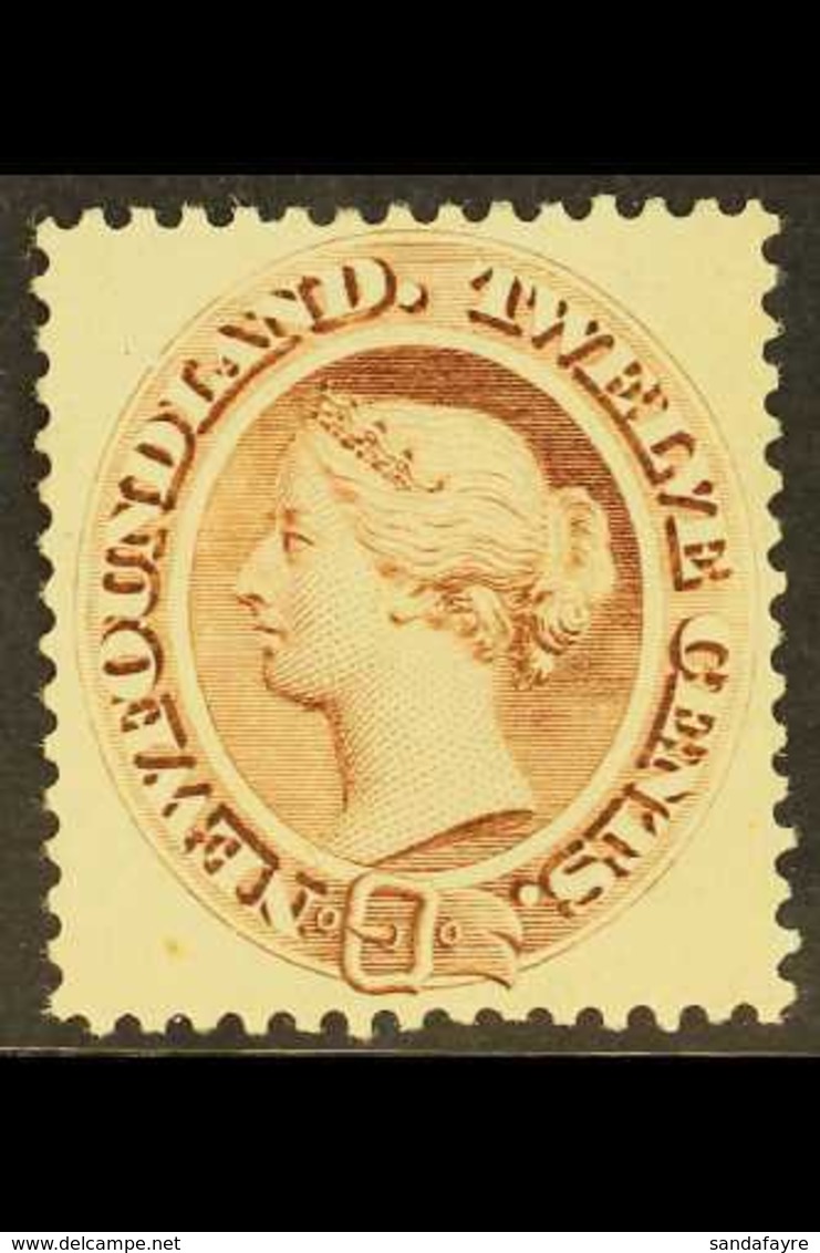 1894 12c Deep Brown, SG 61, Very Fine Mint. For More Images, Please Visit Http://www.sandafayre.com/itemdetails.aspx?s=6 - Autres & Non Classés