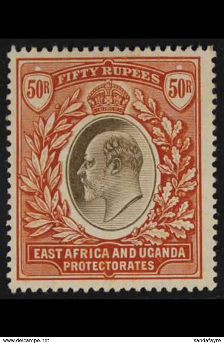 1904-07 50r Grey And Red-brown, Wmk Mult Crown CA, SG 33, Fine Mint. A Beauty. For More Images, Please Visit Http://www. - Vide