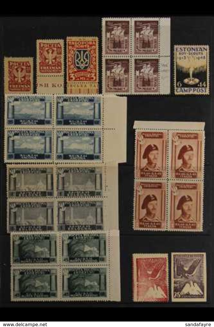 LOCAL & DP CAMP POSTS STAMPS 1942-1948 Fine Mint (mostly Never Hinged) Collection On Stock Pages, Includes 1942-44 'Tajn - Sonstige & Ohne Zuordnung