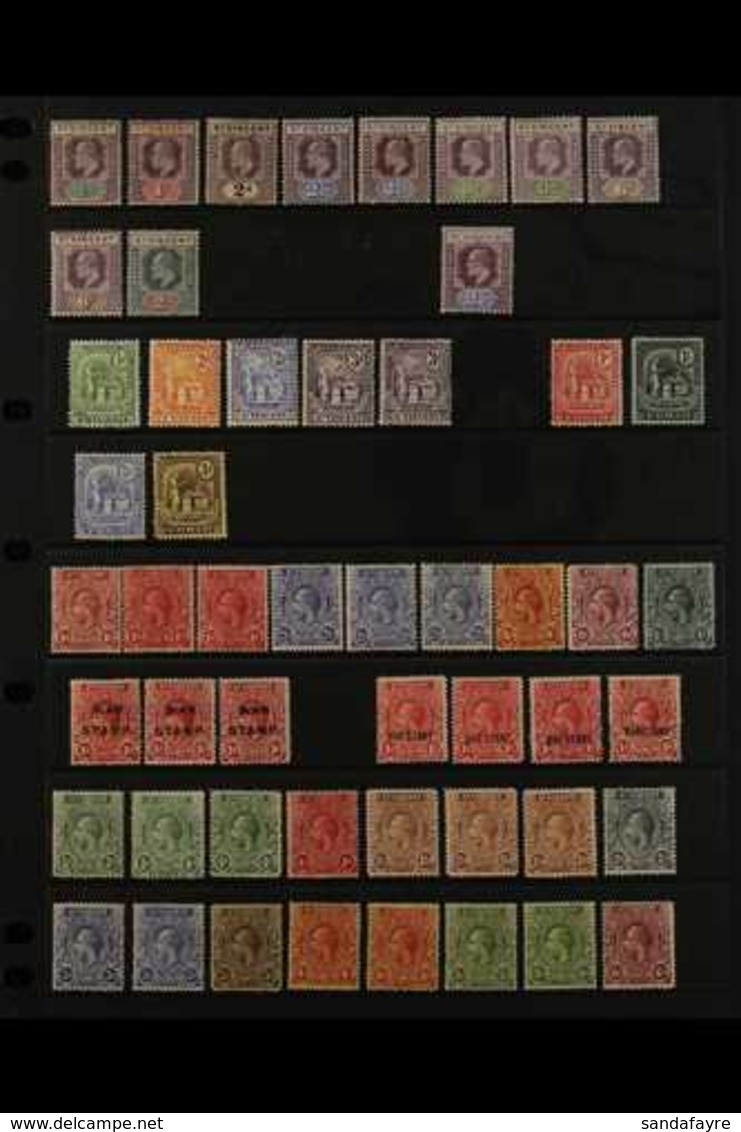 1902-1951 MINT COLLECTION On Stock Pages, Includes 1902 Set To 6d & 2s, 1904-11 2½d, 1907-08 Set (ex 1d), 1921-32 Most V - St.Vincent (...-1979)