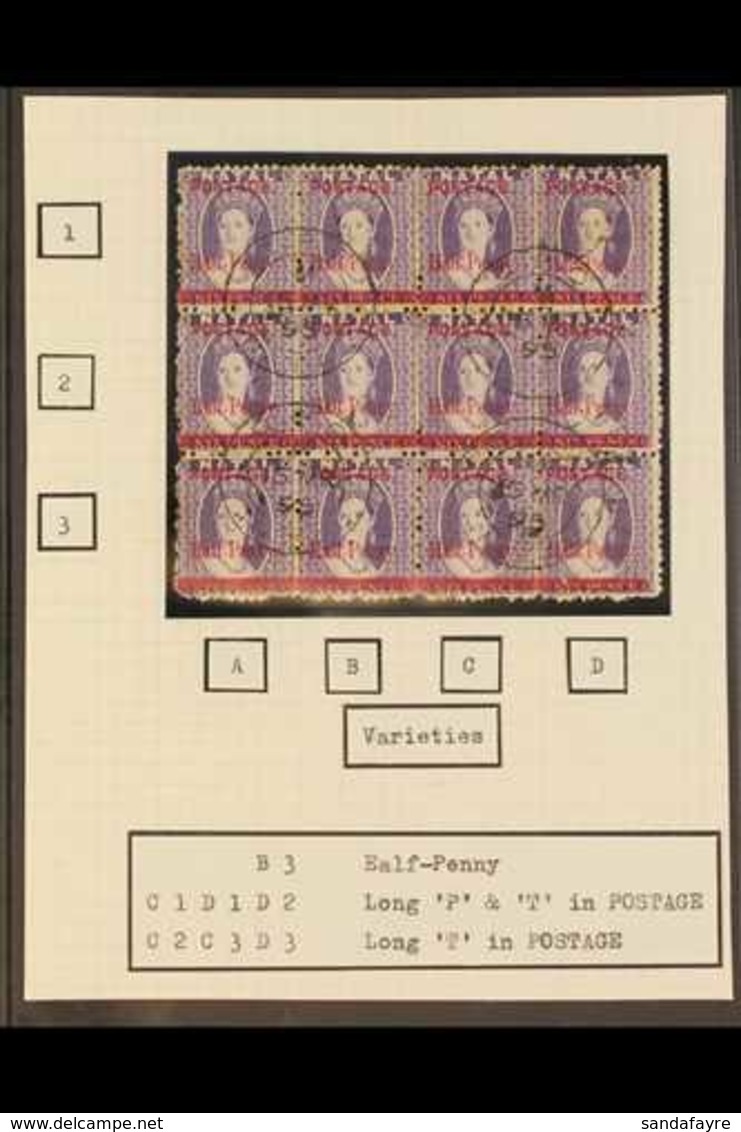 NATAL 1895 ½d On 6d Violet Surcharge, SG 114, Cds Used BLOCK Of 12 (4x3) Containing One "EALF-PENNY", Three Long "T" and - Non Classificati