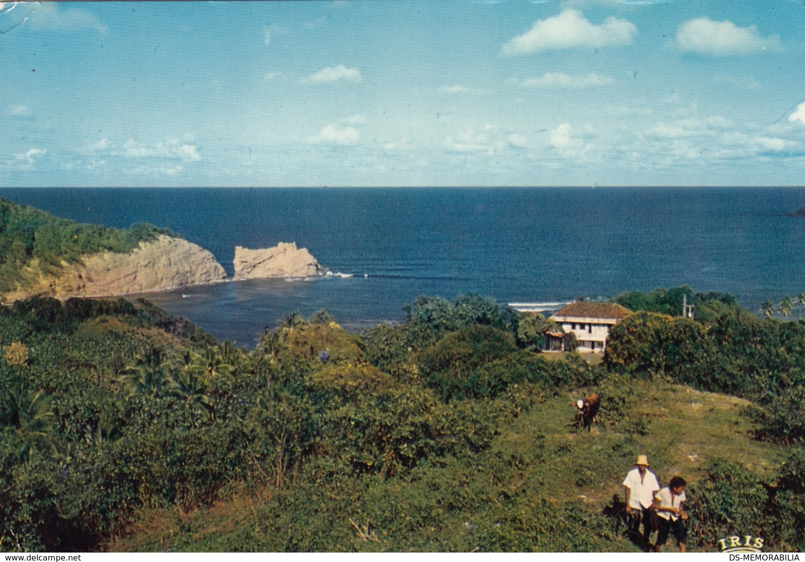 Martinique - La Cote Atlantique Vers Trinite 1979 - La Trinite